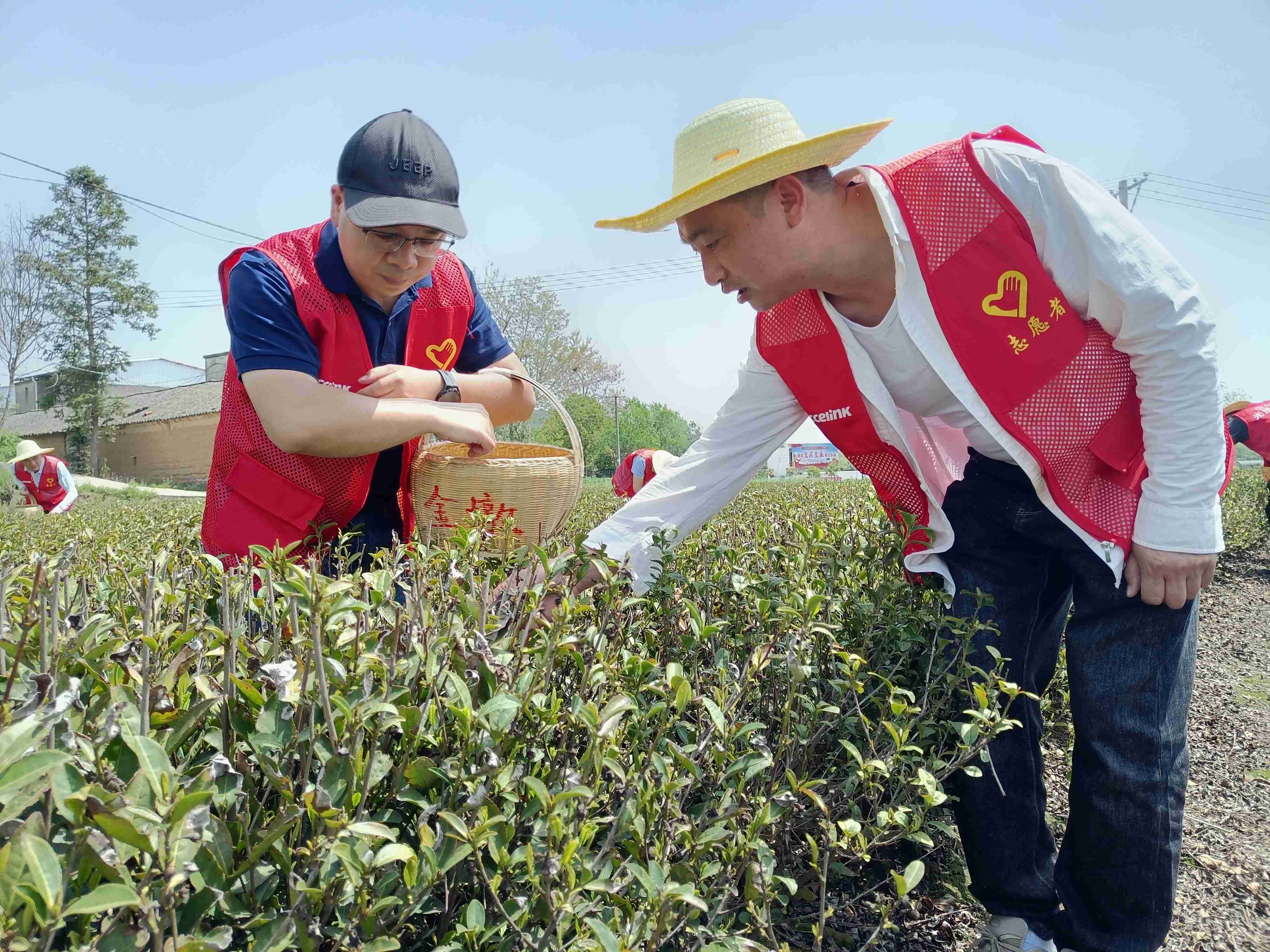 lewin乐玩-(中国)有限公司官方网站
